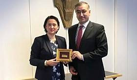 Meeting of Ambassador Armen Papikyan with the head of Austria-Armenia friendship group Gudrun Kugler