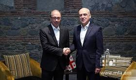 Встреча министра иностранных дел Республики Армения Ара Айвазяна с министром иностранных дел Грузии Давидом Залкалиани