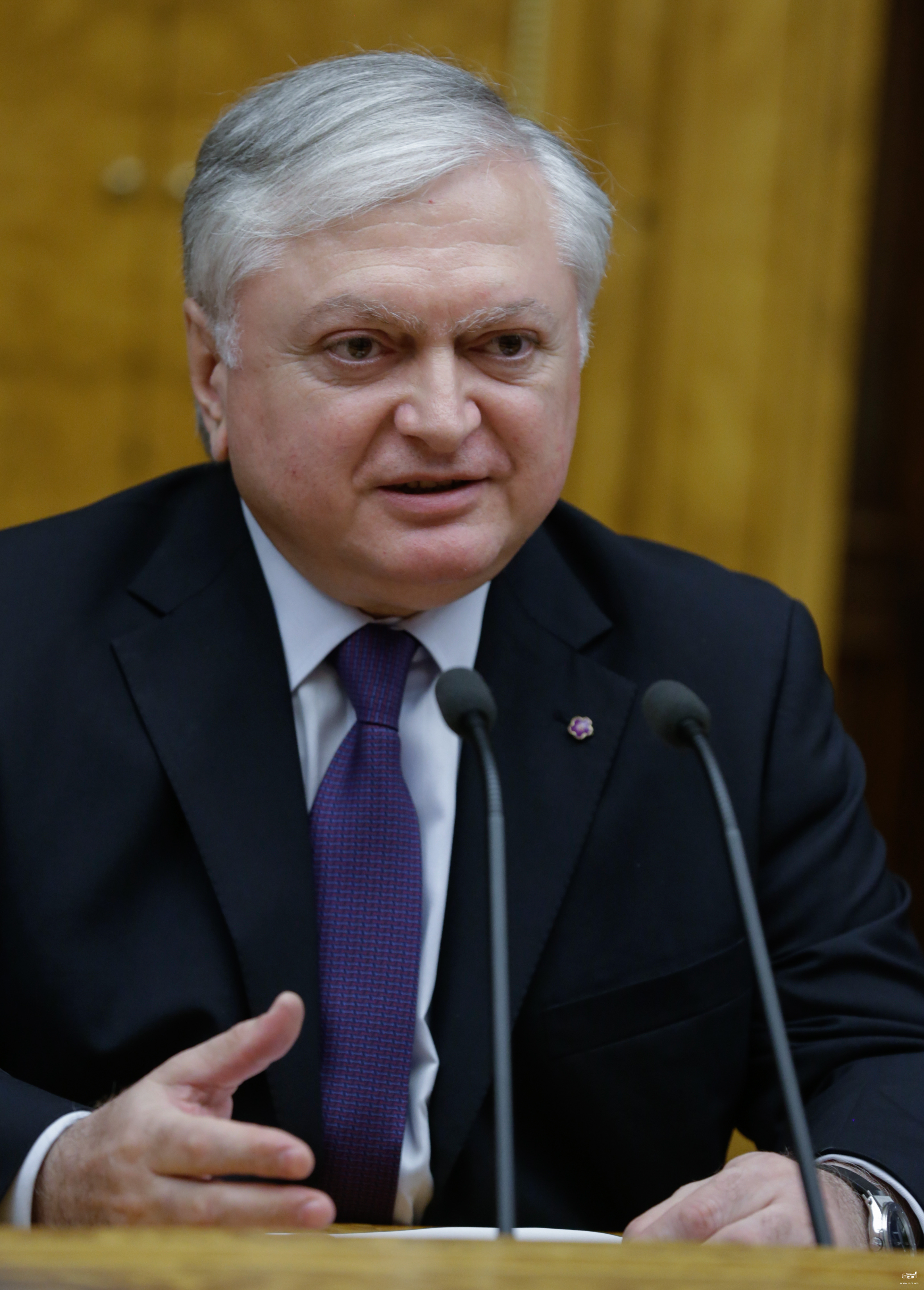 Foreign Minister Edward Nalbandian’s Statement, regarding the Statement of the Austrian Parliament on the Centennial of the Armenian Genocide