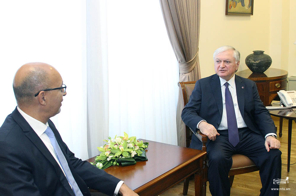 Meeting of Foreign Minister of Armenia and Minister of State for European Affairs of France