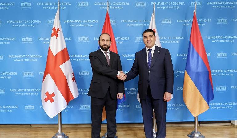 Встреча министра иностранных дел Республики Армения с председателем парламента Грузии